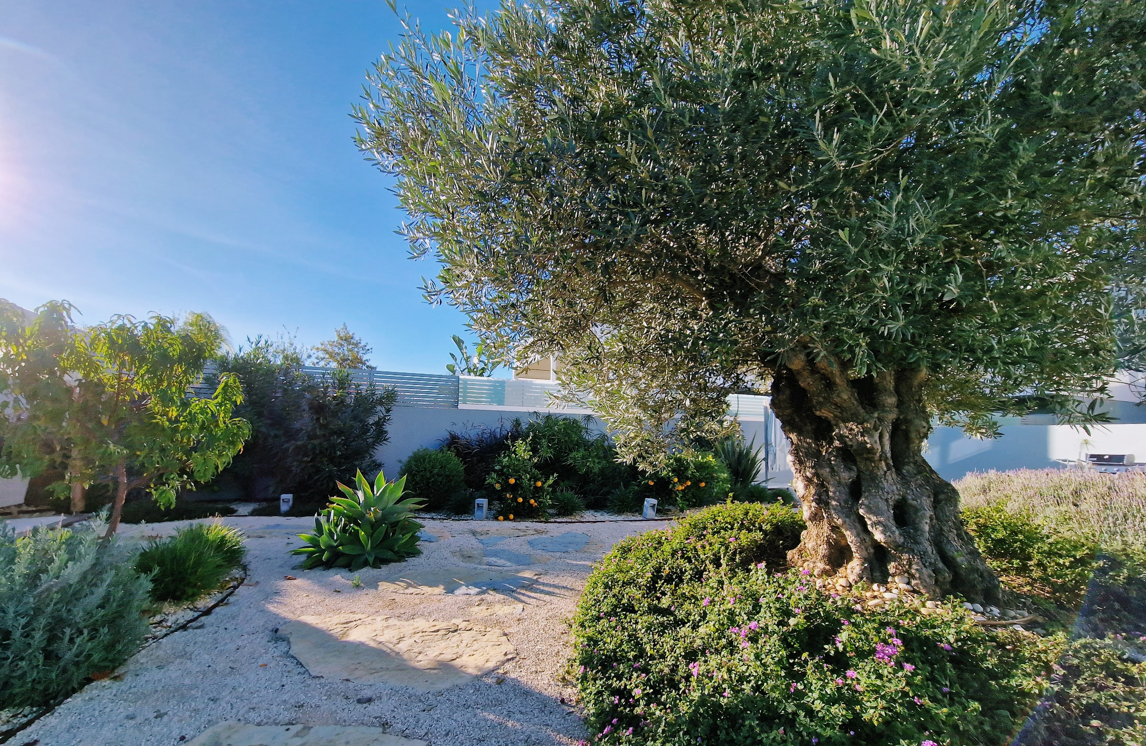 LivinTavira - Image 7